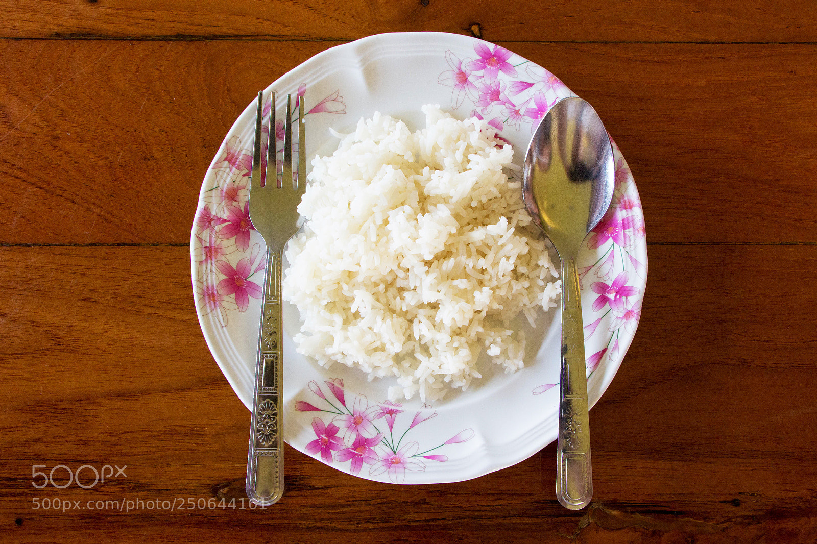 Canon EOS 700D (EOS Rebel T5i / EOS Kiss X7i) sample photo. Hot steamed rice served photography