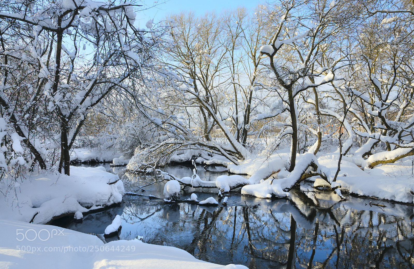 Nikon D5100 sample photo. Frosty morning photography