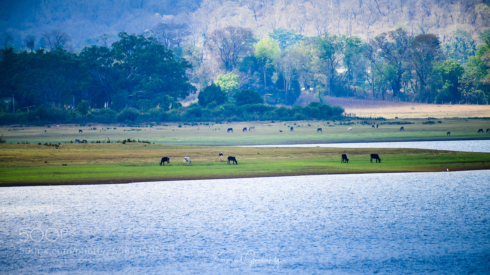 Nikon D850 sample photo. Kabini river photography