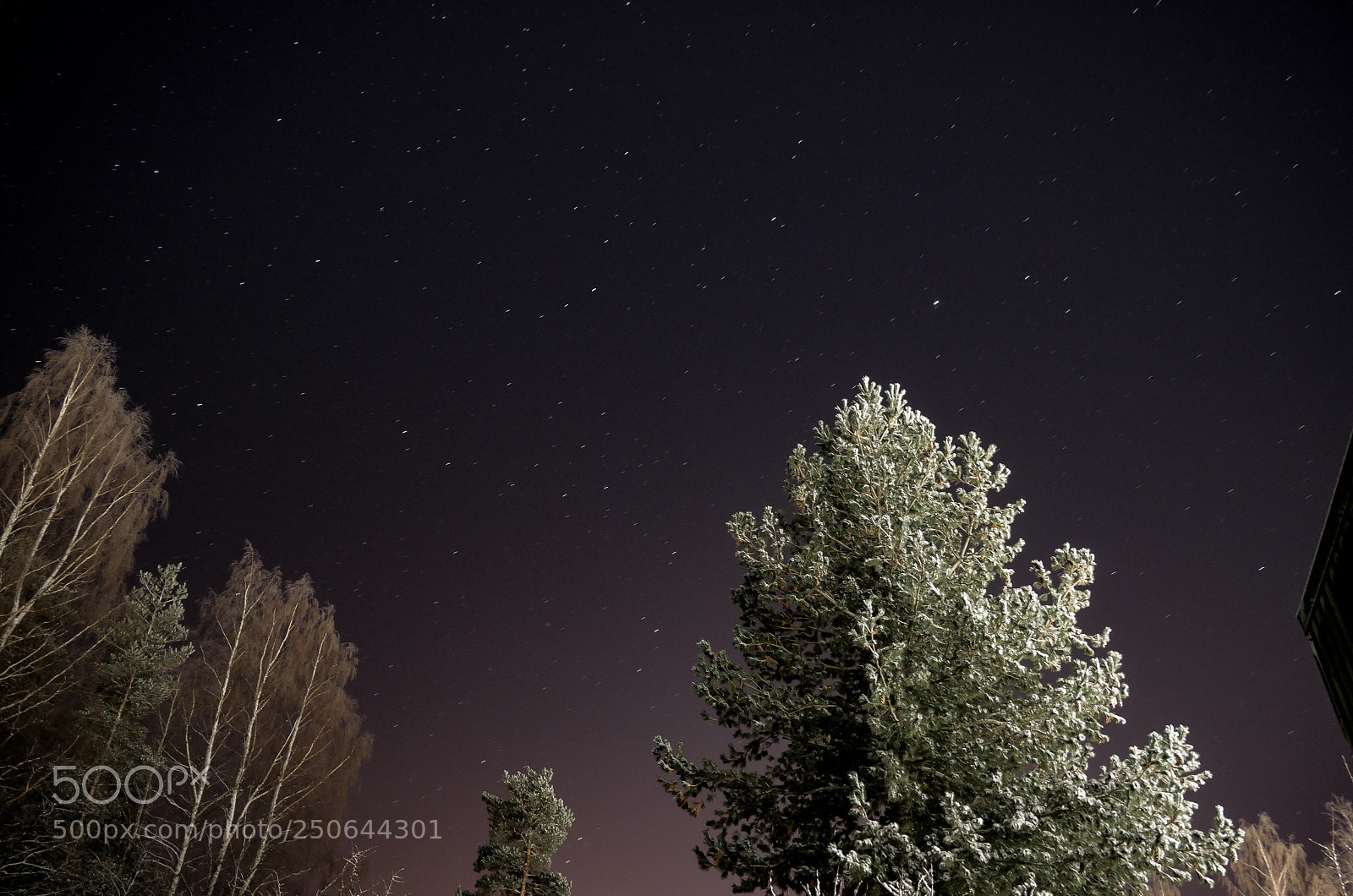 Panasonic Lumix DMC-G85 (Lumix DMC-G80) sample photo. -stars- photography