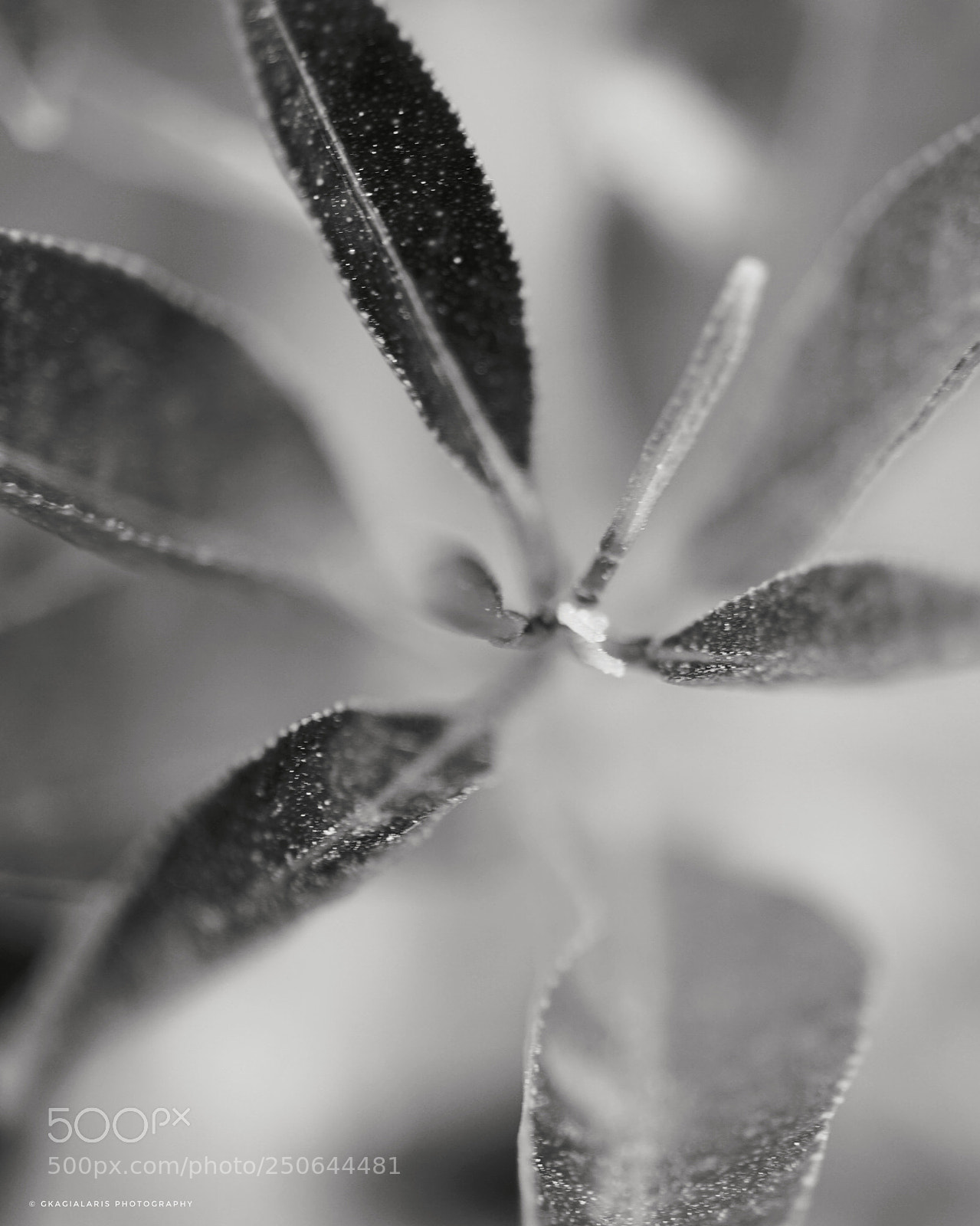 Sony a6000 sample photo. Untitled photography