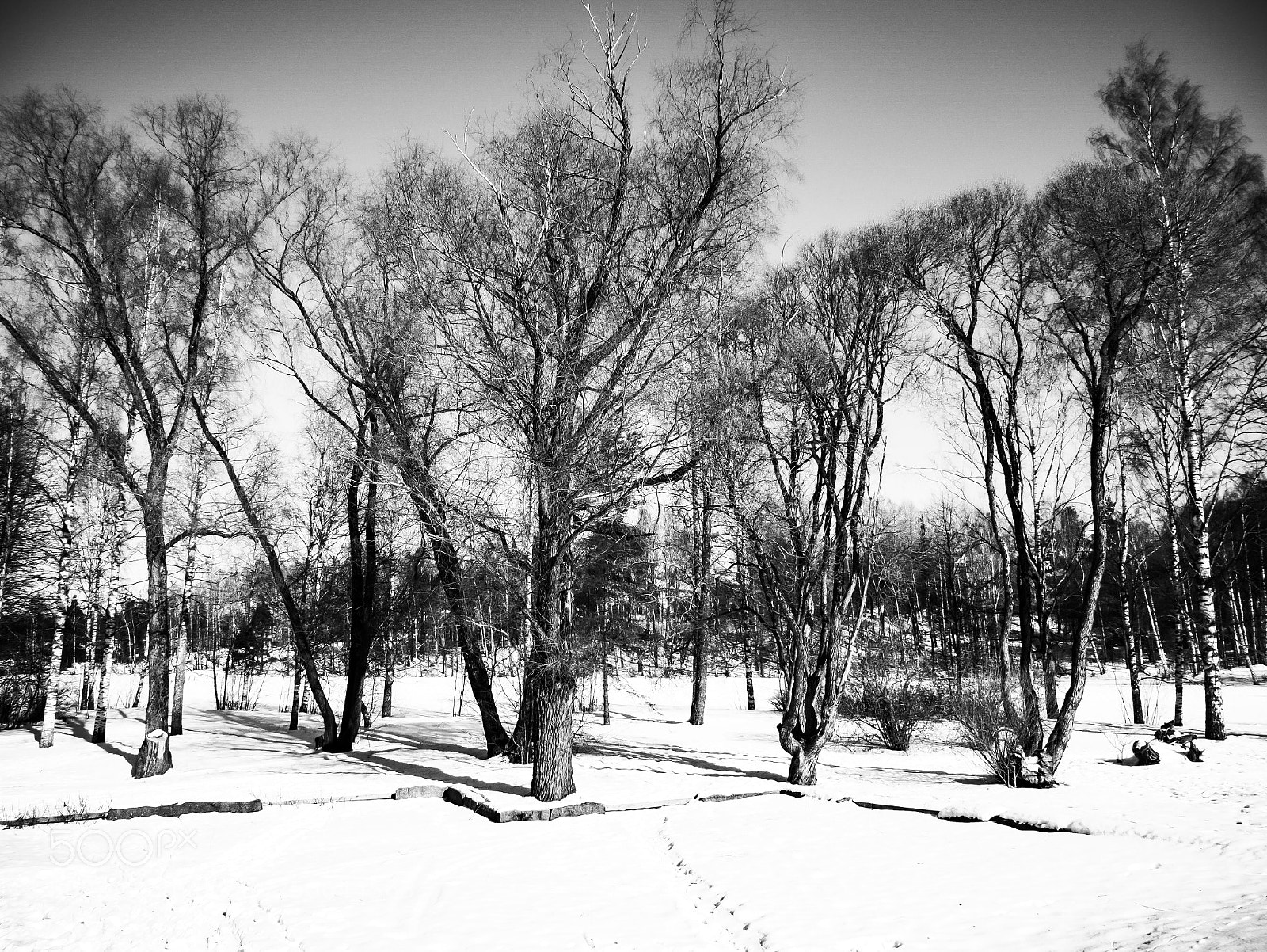 Panasonic Lumix DMC-G85 (Lumix DMC-G80) sample photo. Black and white photography