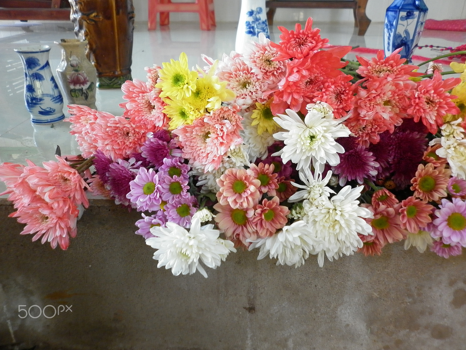 Panasonic DMC-F3 sample photo. Flower beauty part 3 photography