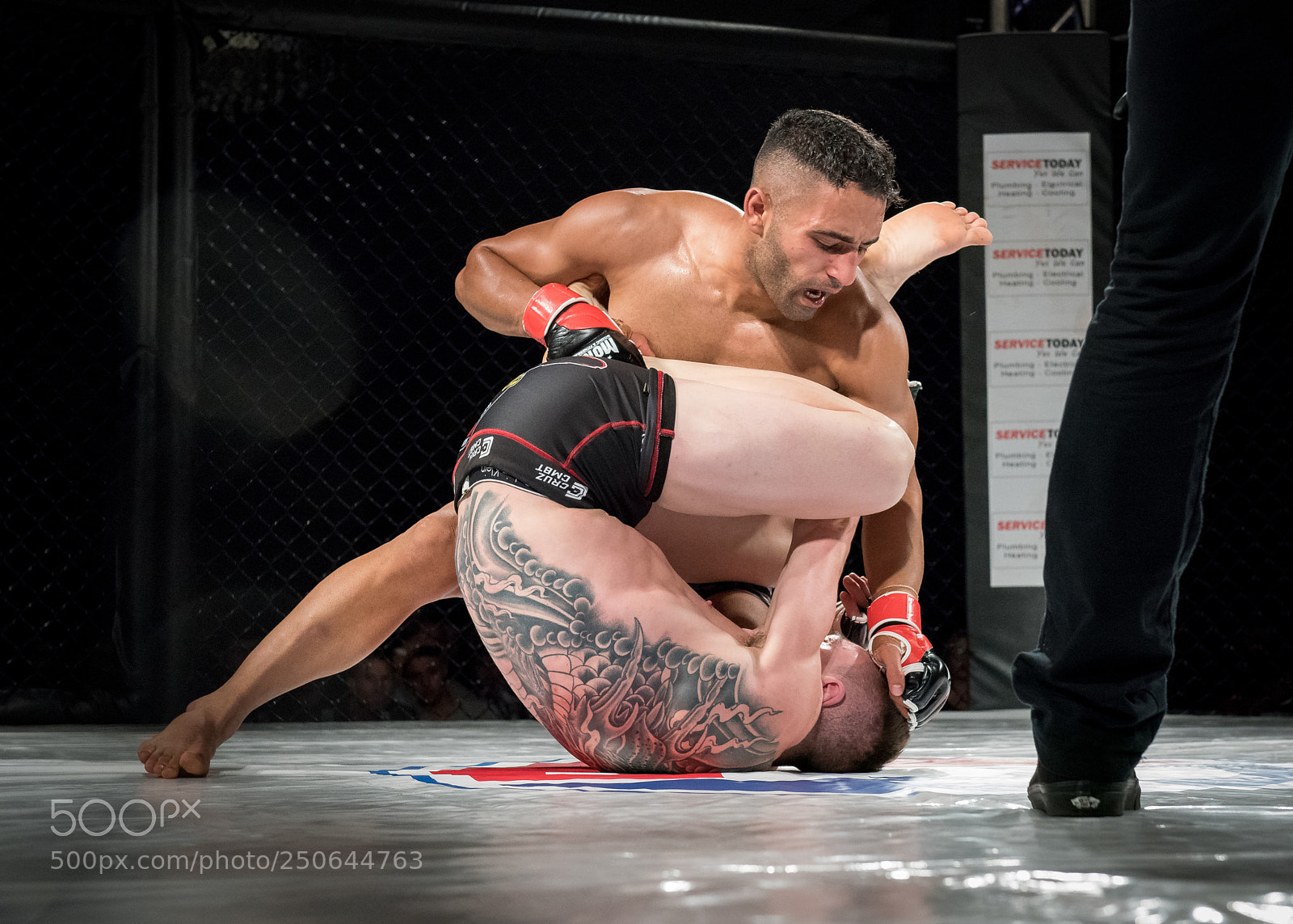 Nikon D810 sample photo. Grappling in an mma photography