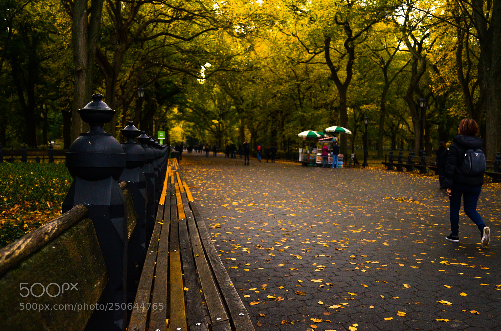Nikon D5100 sample photo. Central park photography