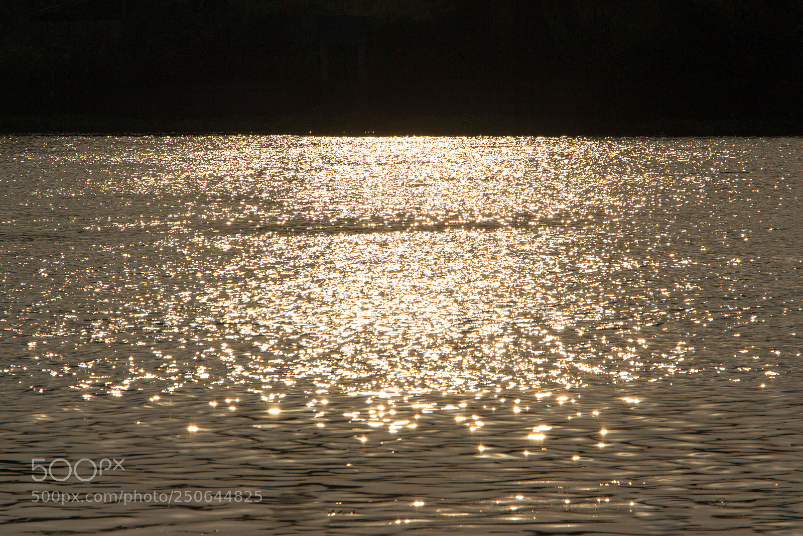 Canon EOS 700D (EOS Rebel T5i / EOS Kiss X7i) sample photo. Sunlight reflected on the photography