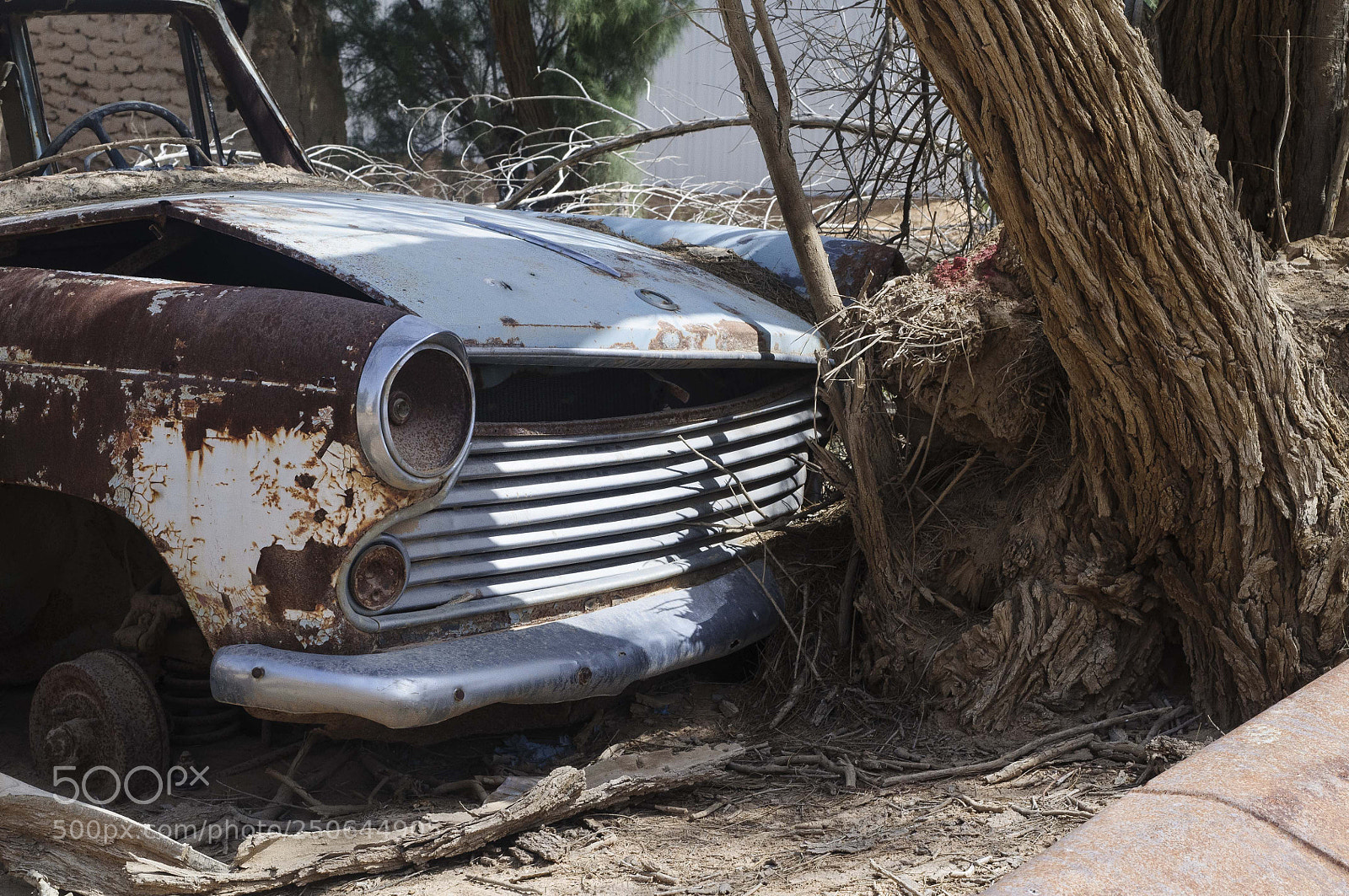Nikon D300 sample photo. 1960s photography