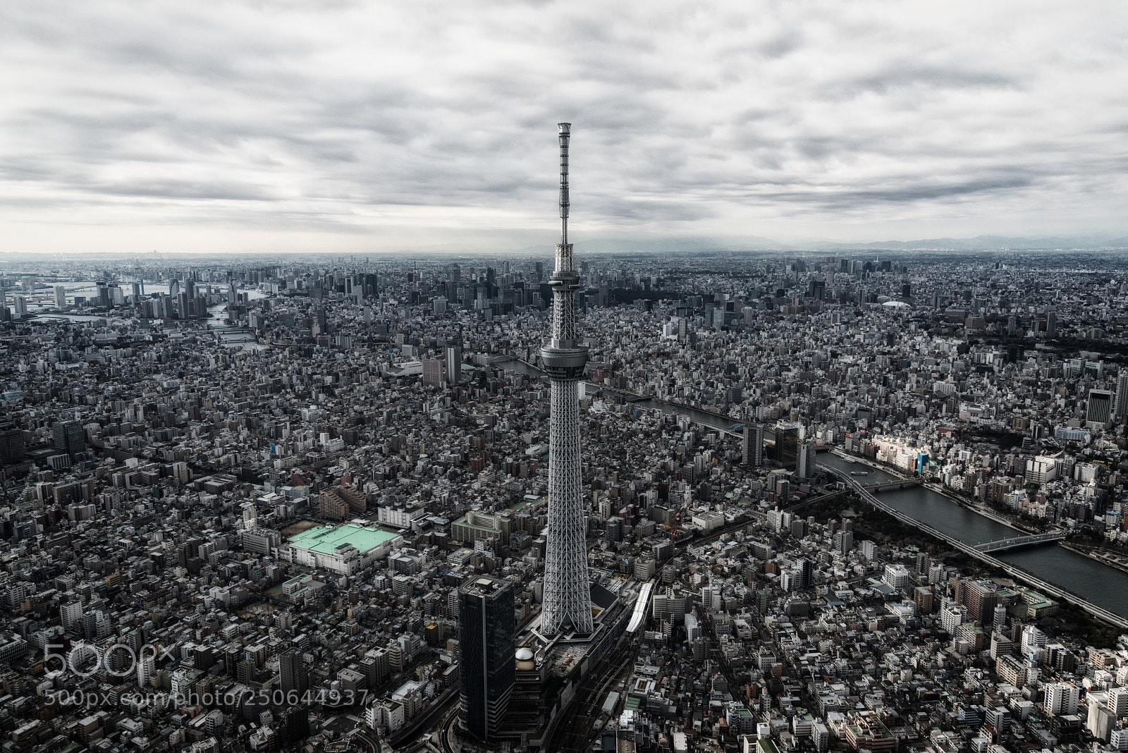 Nikon D800E sample photo. Tokyo sky tree photography