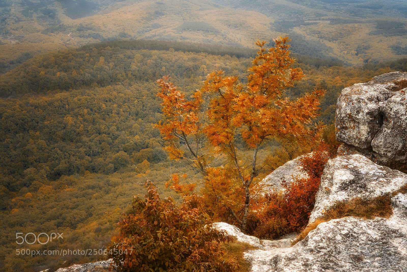 Nikon D610 sample photo. Autumn in the mountains photography