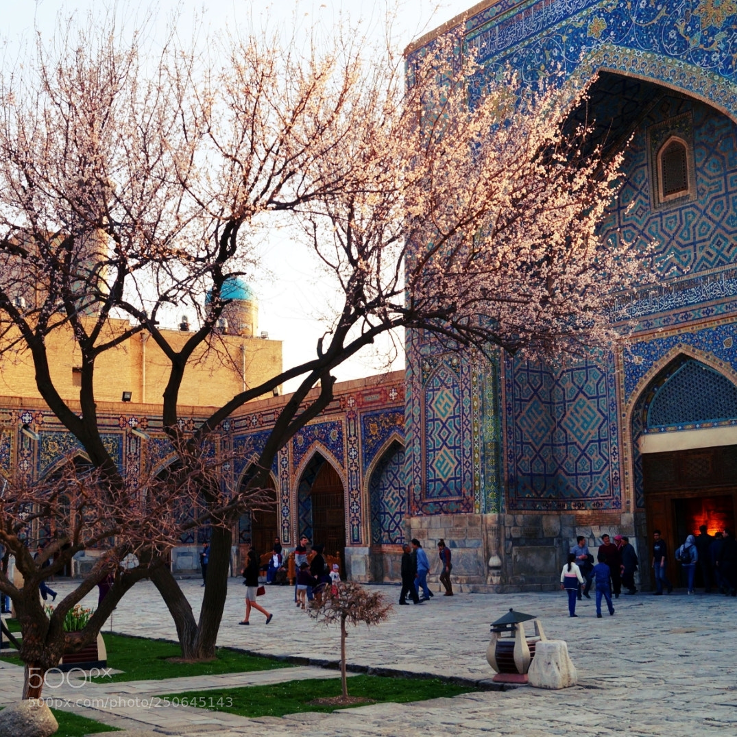 Sony SLT-A58 sample photo. Registan, samarkand photography