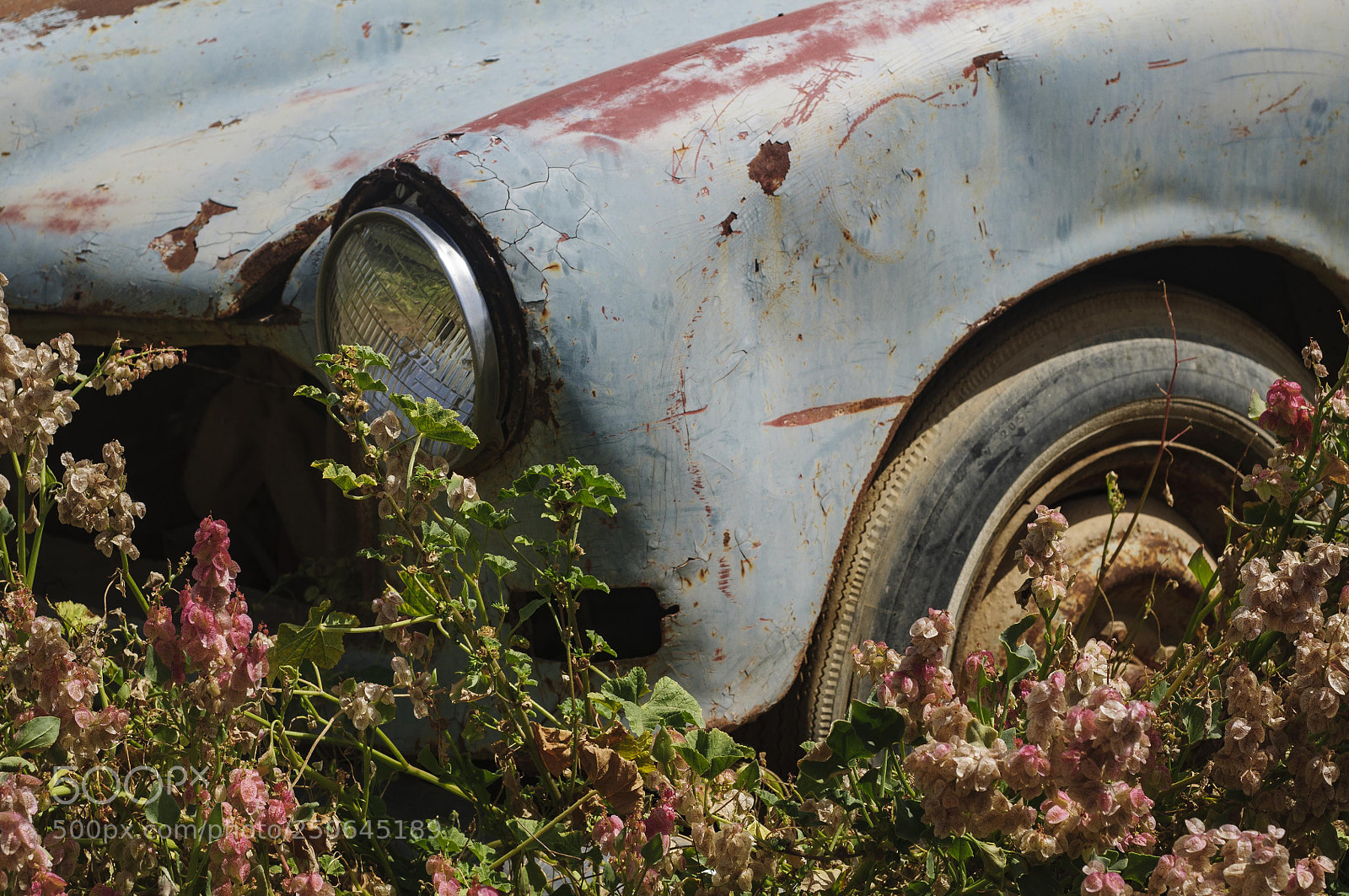 Nikon D300 sample photo. 1960s photography