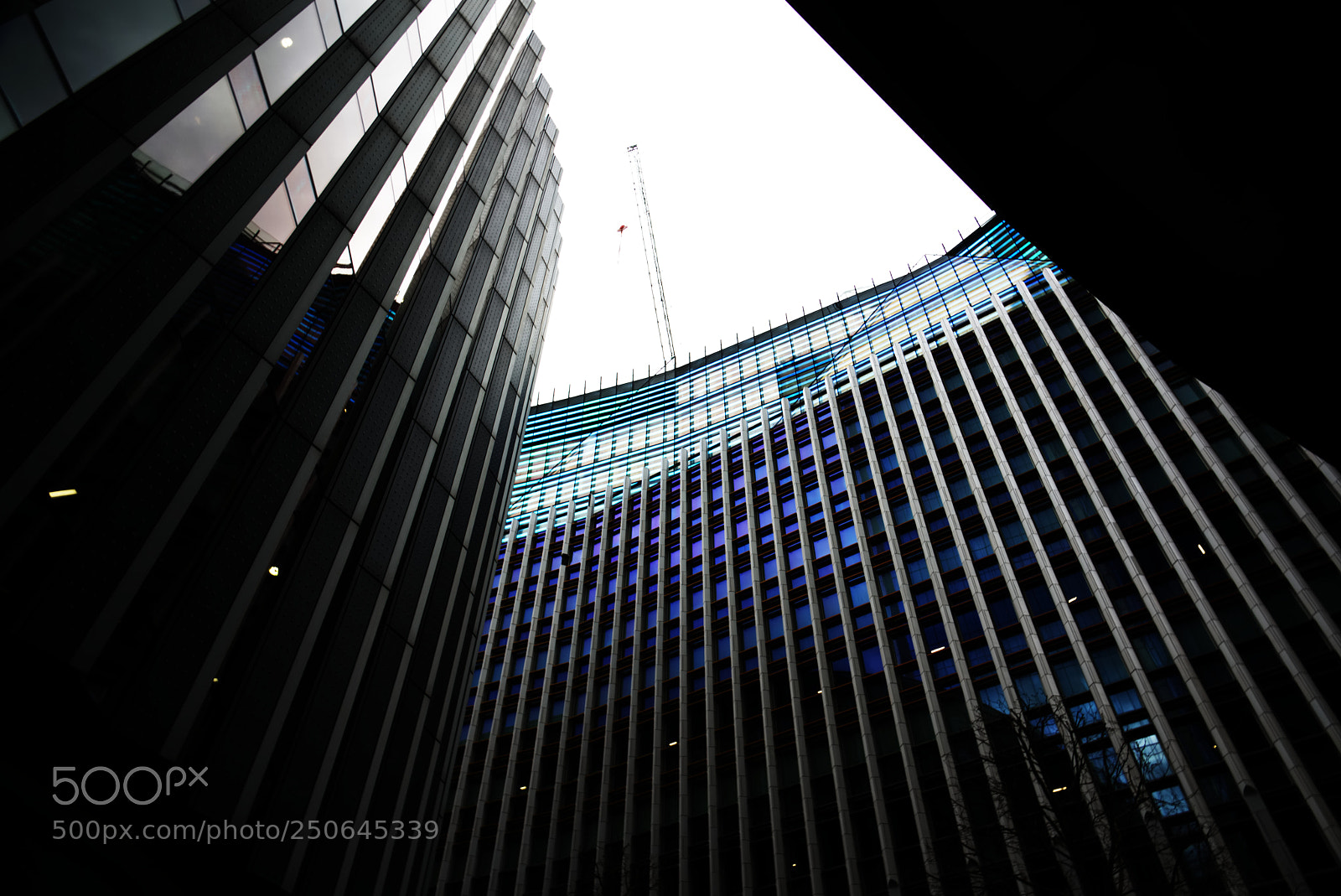 Nikon D810 sample photo. Untitled photography