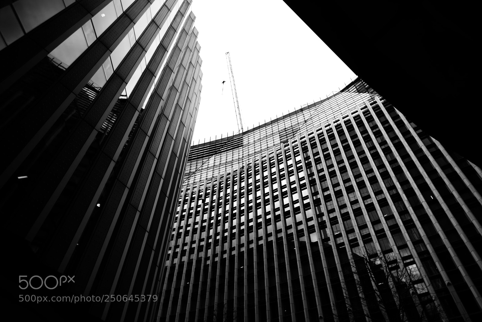 Nikon D810 sample photo. Untitled photography
