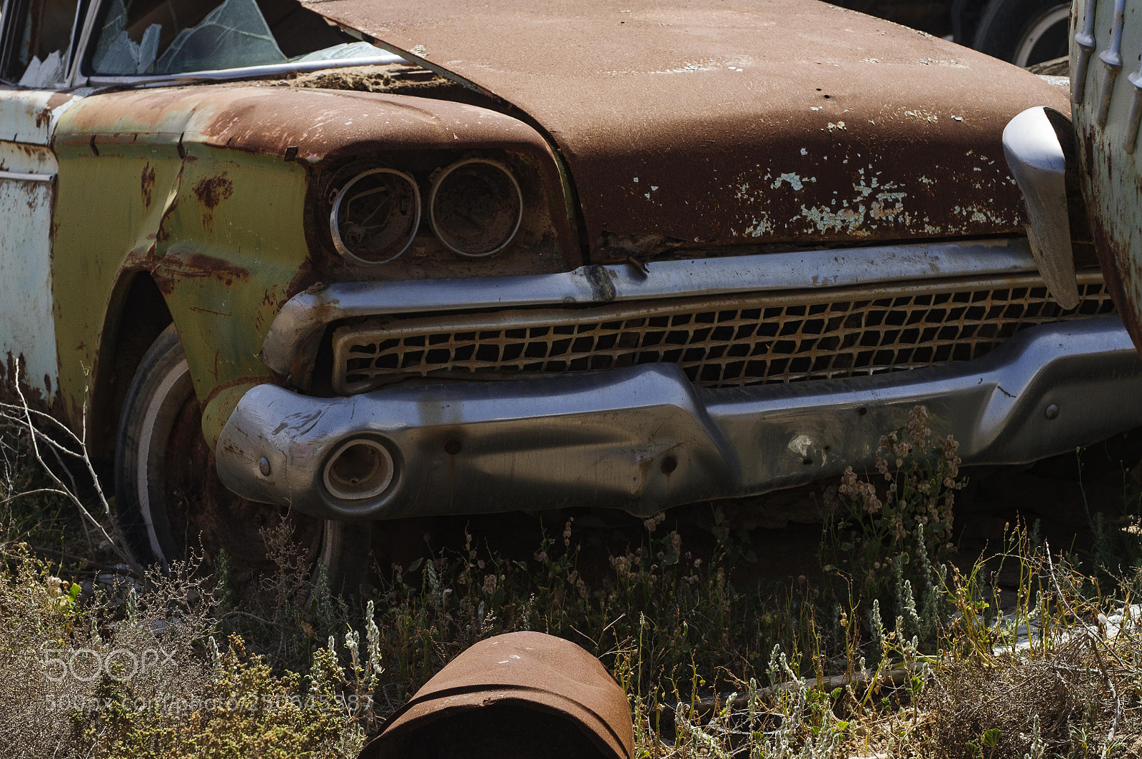 Nikon D300 sample photo. 1950s photography