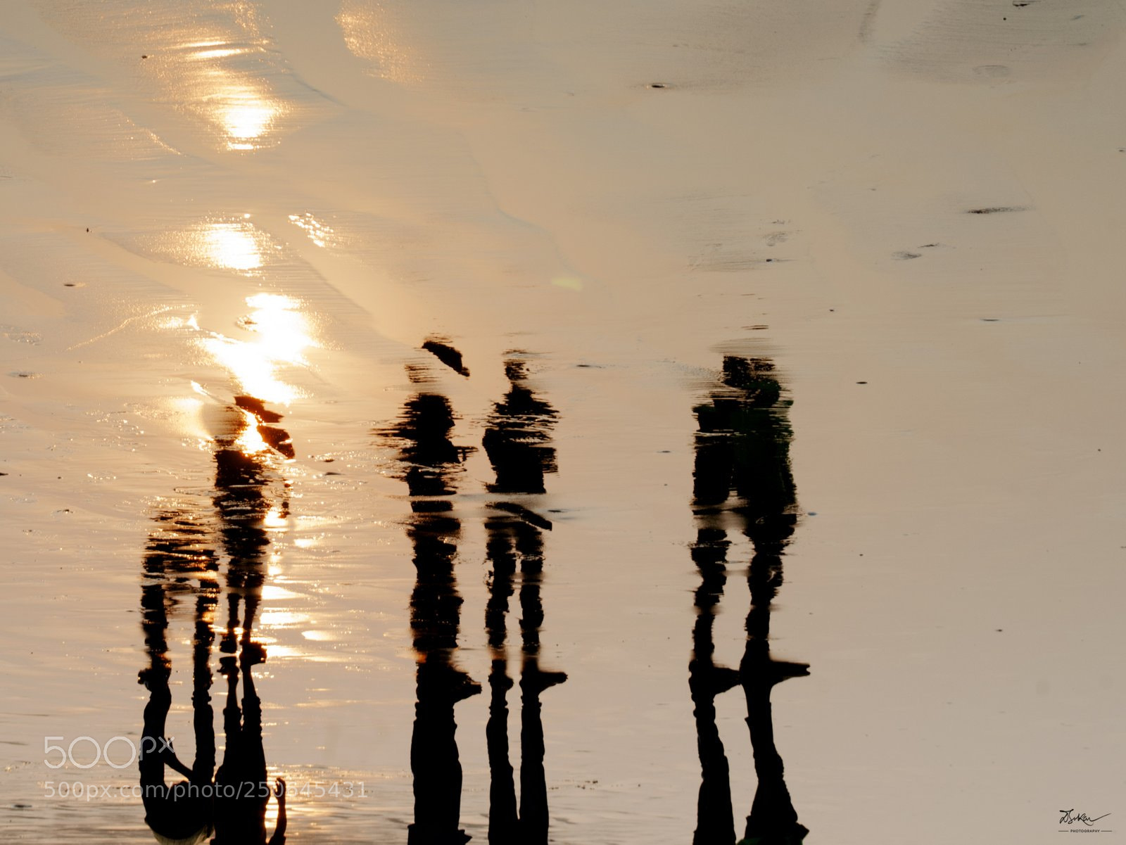 Nikon D7000 sample photo. Sunlight is painting photography