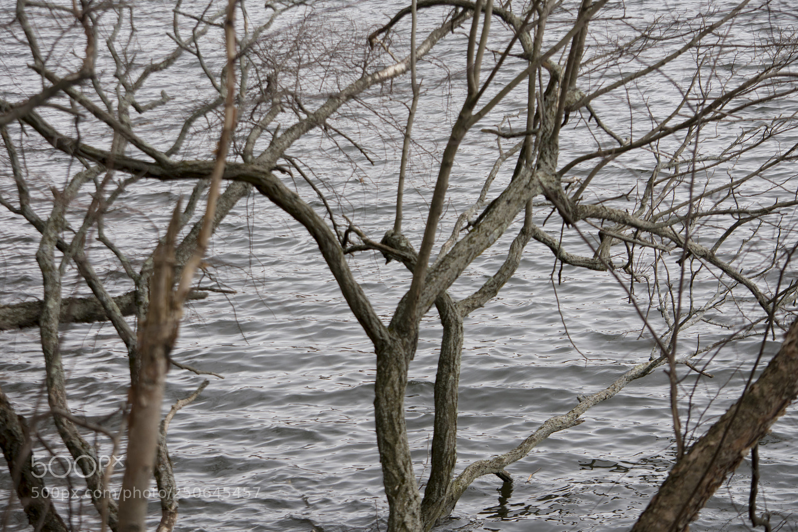 Nikon D3400 sample photo. Jp crisp photography