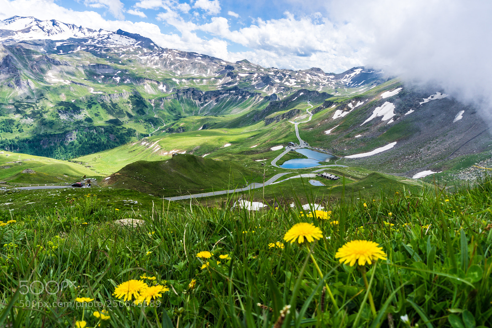 Sony a5100 sample photo. Wildflowers on the mountains photography