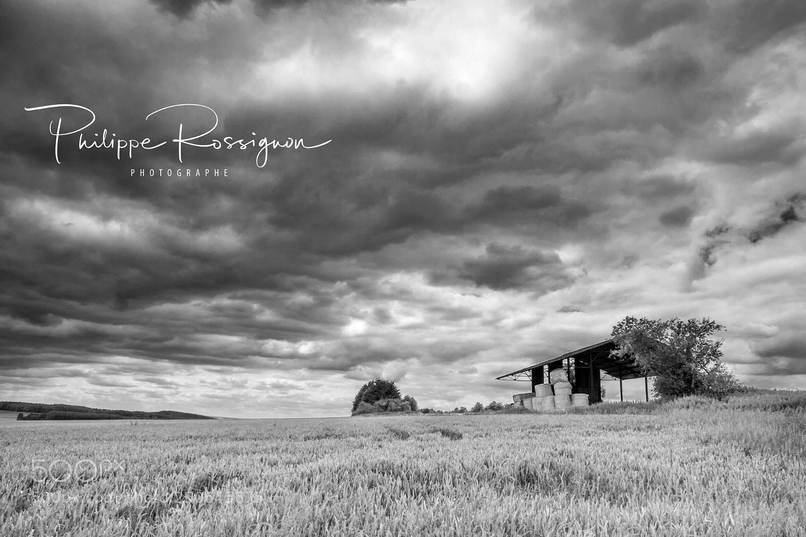 Canon EOS 7D sample photo. Farm photography