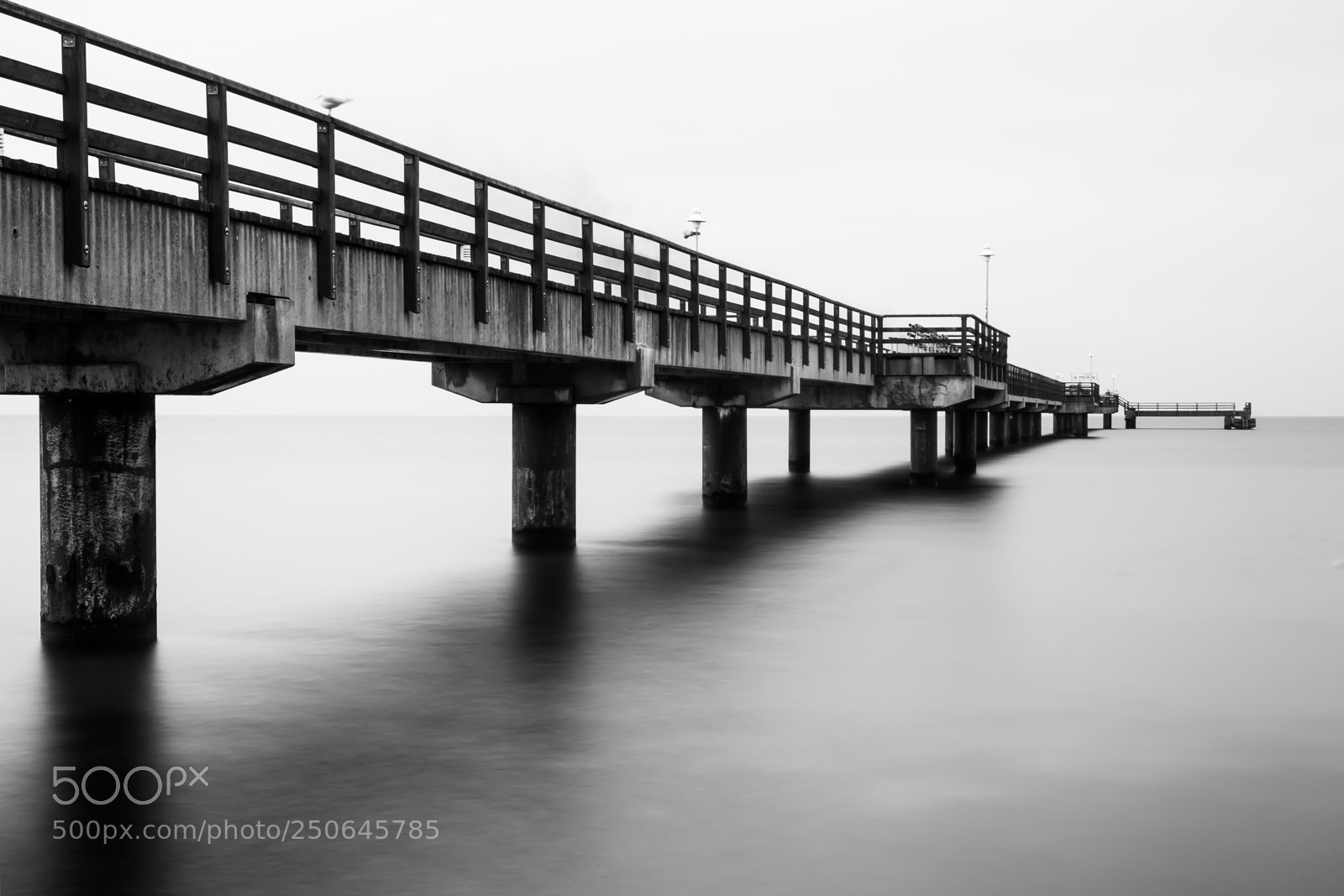 Canon EOS 77D (EOS 9000D / EOS 770D) sample photo. Seabridge prerow photography