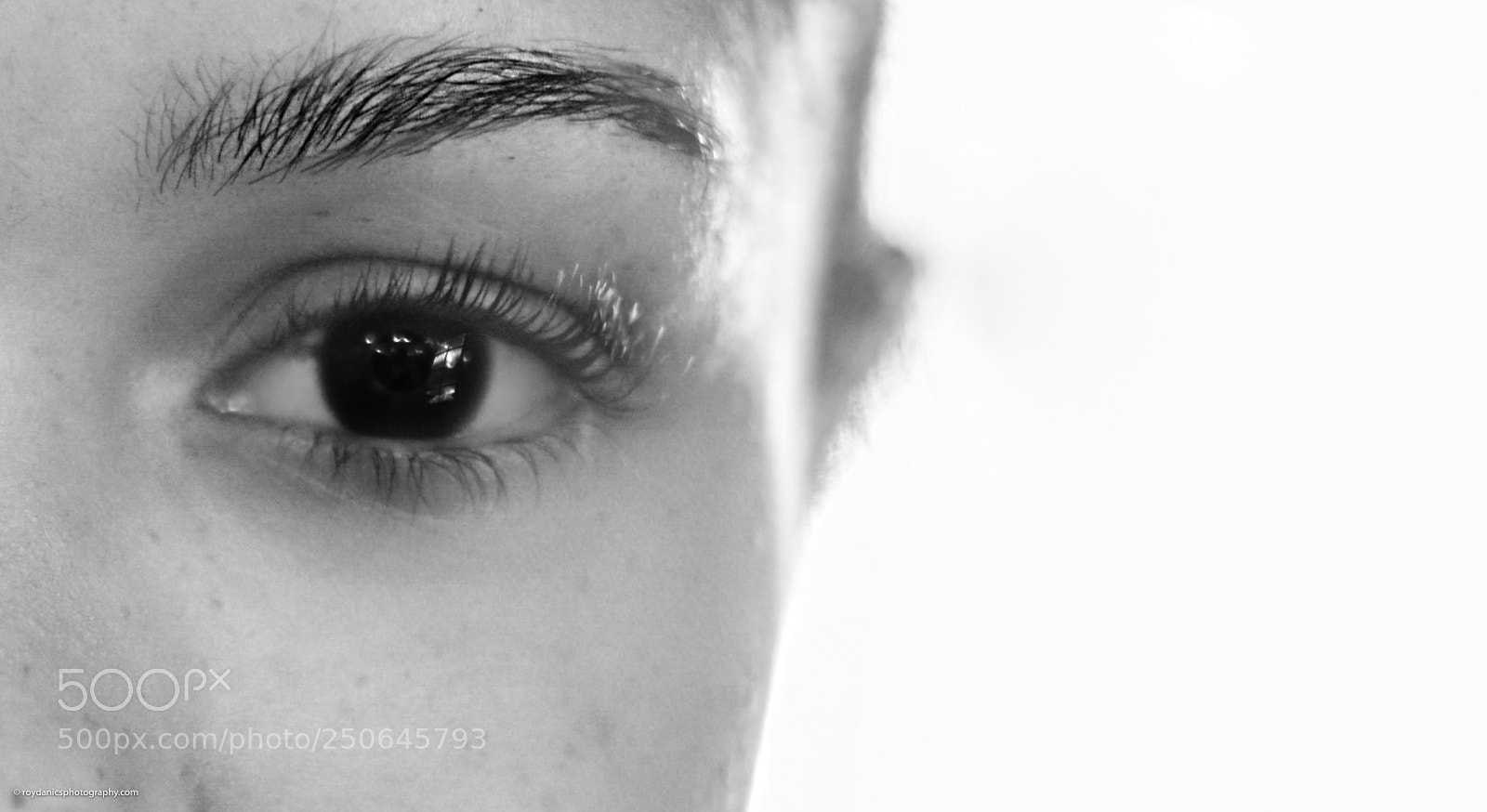 Nikon D810 sample photo. Serious 1/2 face photography
