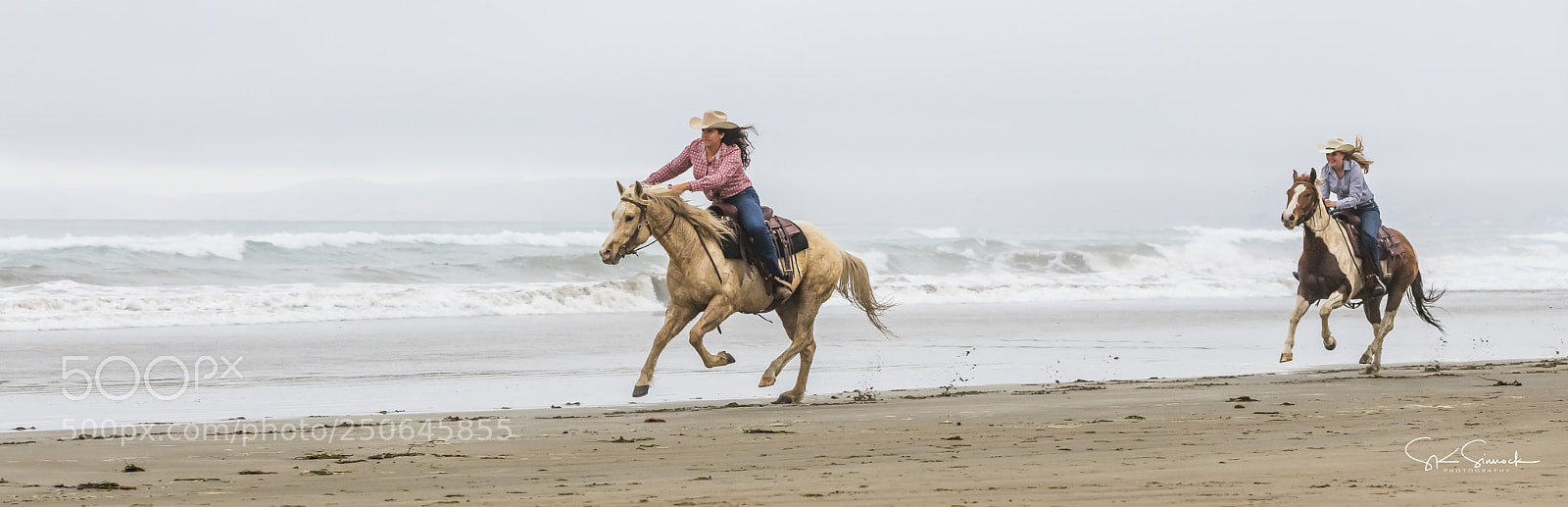 Nikon D850 sample photo. Morro bay photography