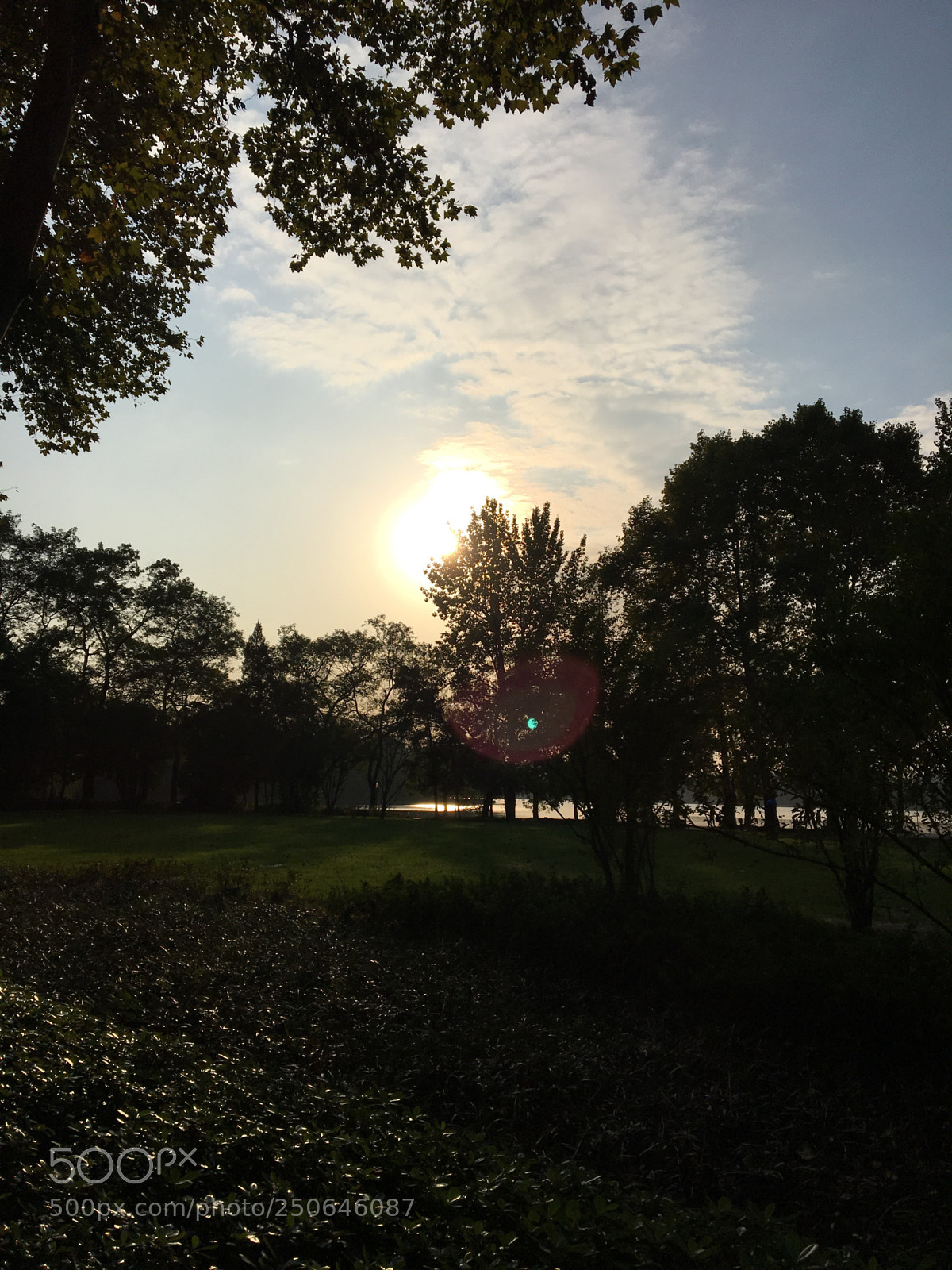 Apple iPhone 6s sample photo. Untitled photography