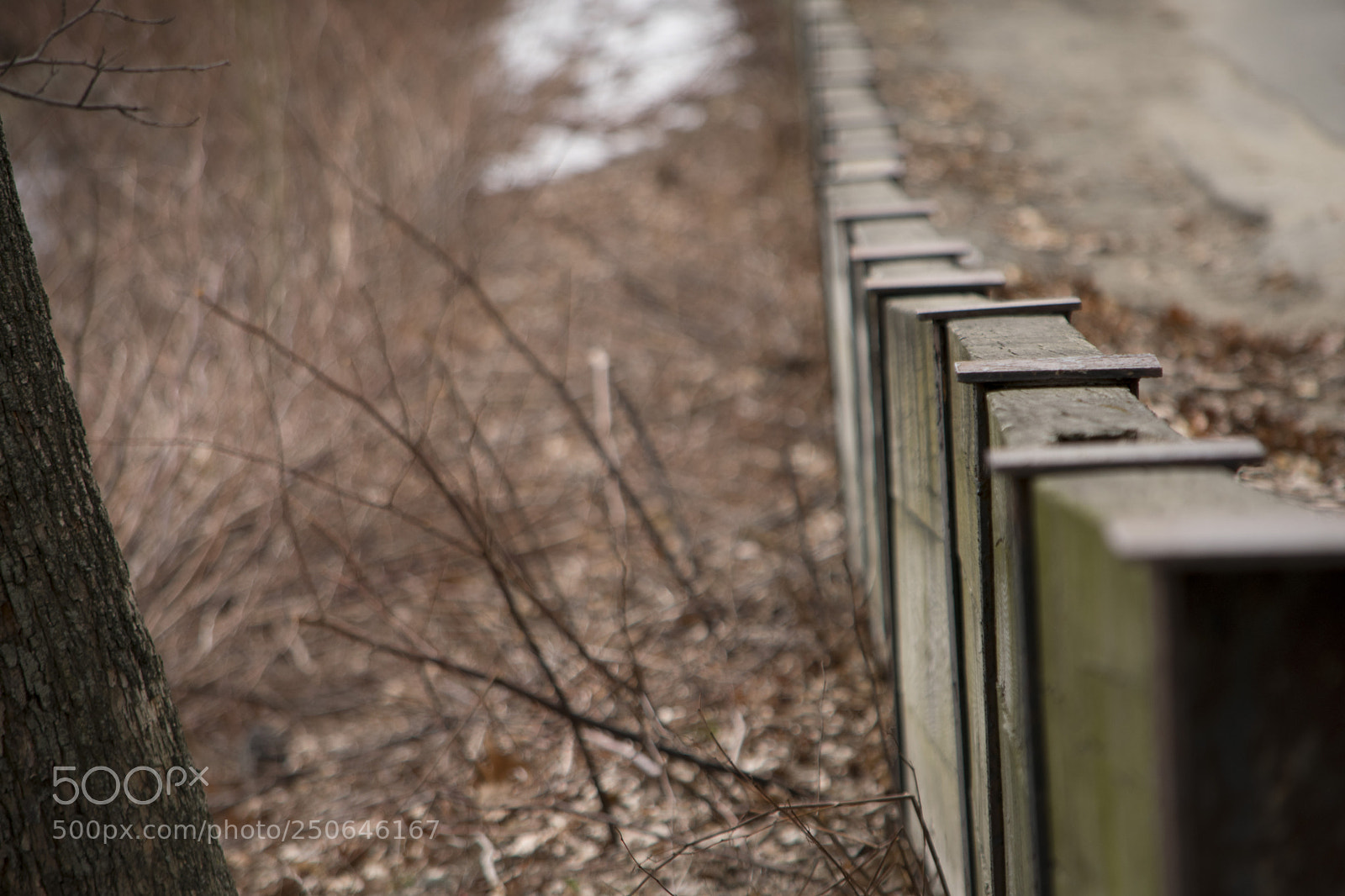 Nikon D3400 sample photo. Jp fence photography
