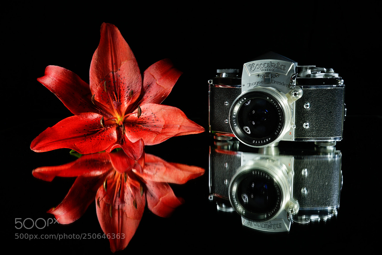 Sony a7 II sample photo. Black and red photography
