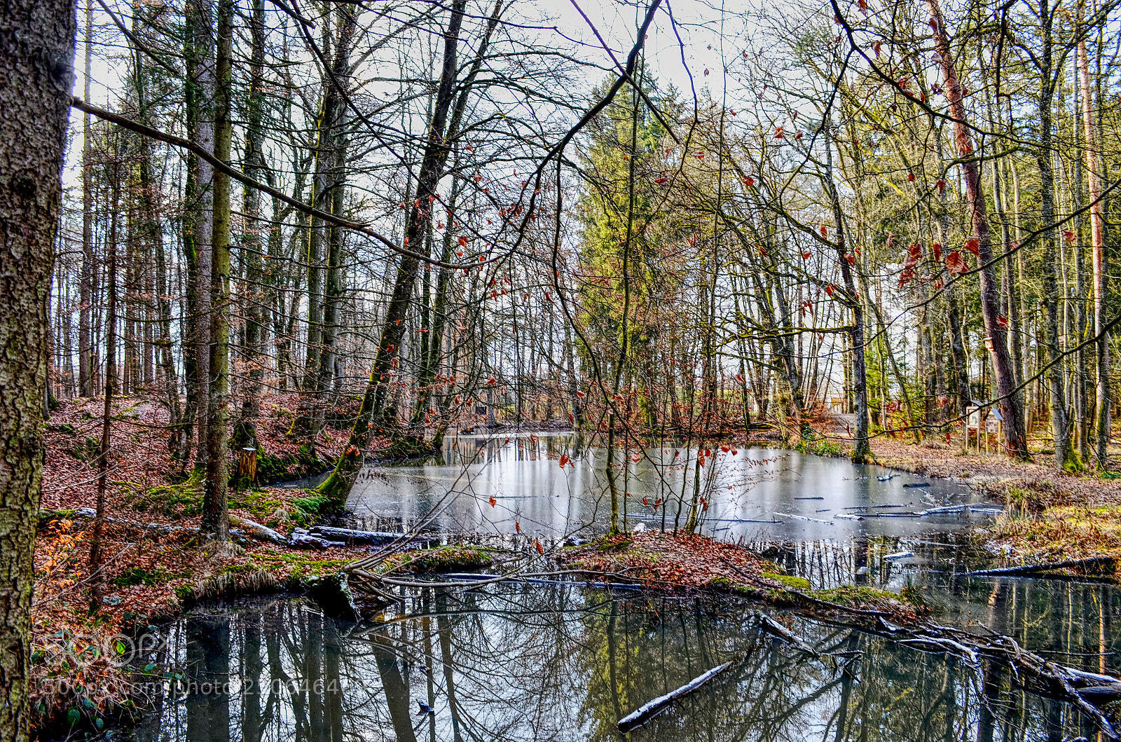 Nikon D5100 sample photo. Waldsee in weißenhorn photography