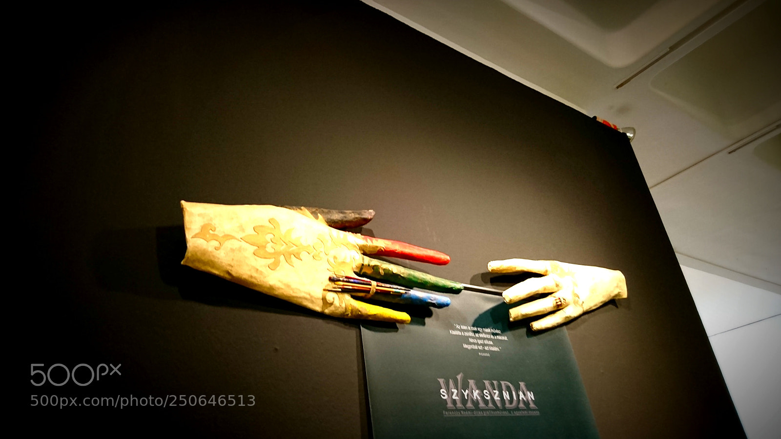 Sony Xperia XZ sample photo. Wanda szyksznian exhibition photography