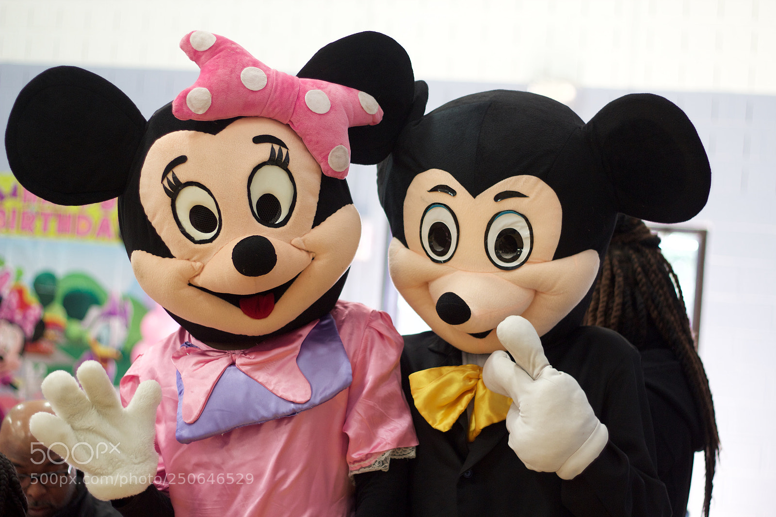 Canon EOS 600D (Rebel EOS T3i / EOS Kiss X5) sample photo. Minnie & mickey mouse ! photography