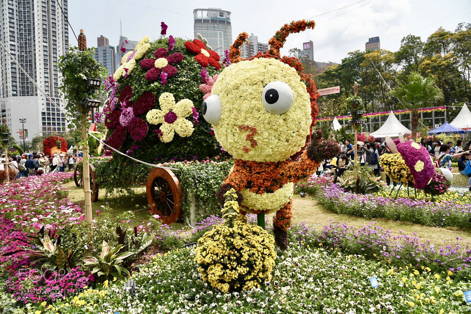 Nikon D750 sample photo. Hong kong flower show 2018 (180325) photography