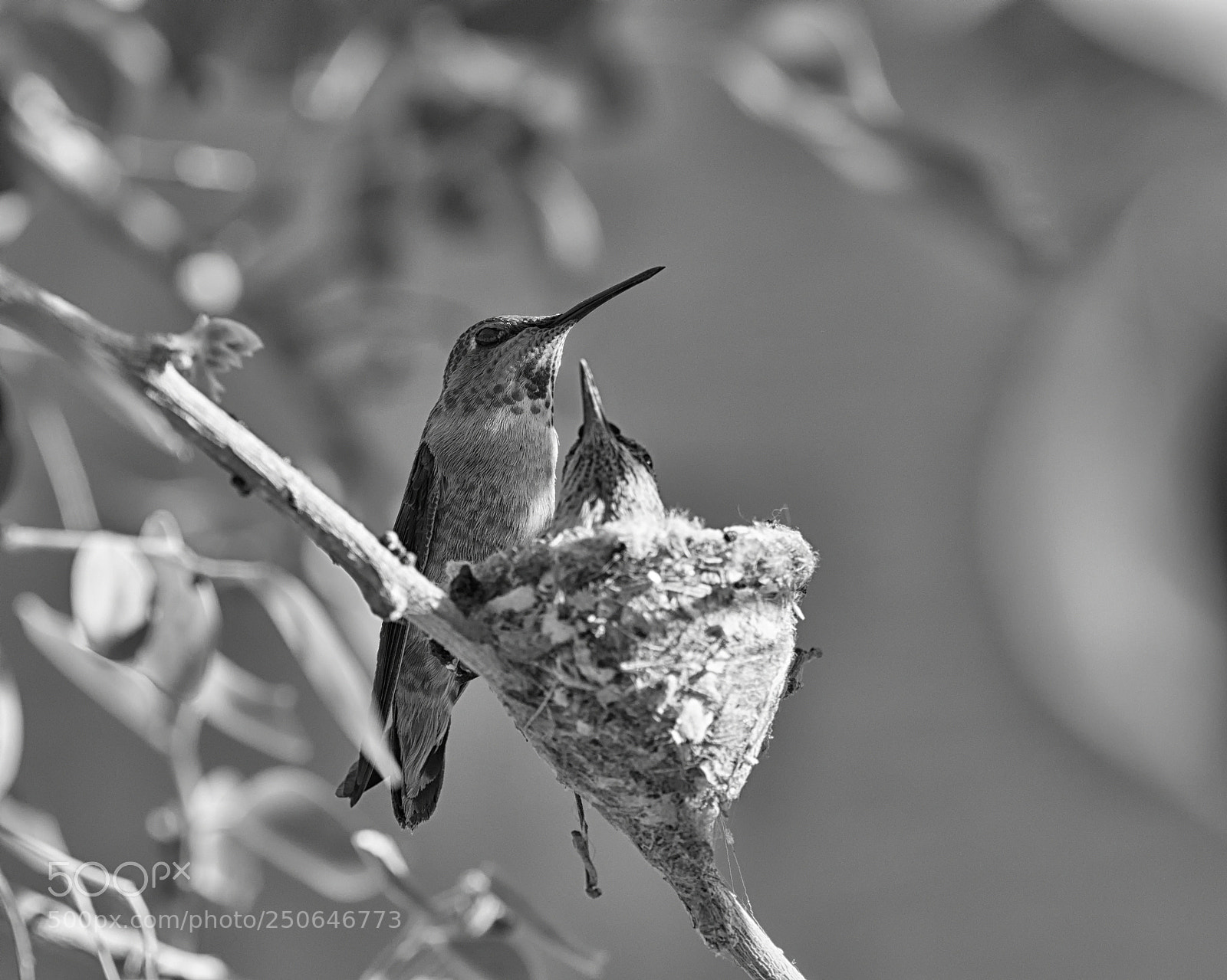 Olympus OM-D E-M1 Mark II sample photo. Untitled photography