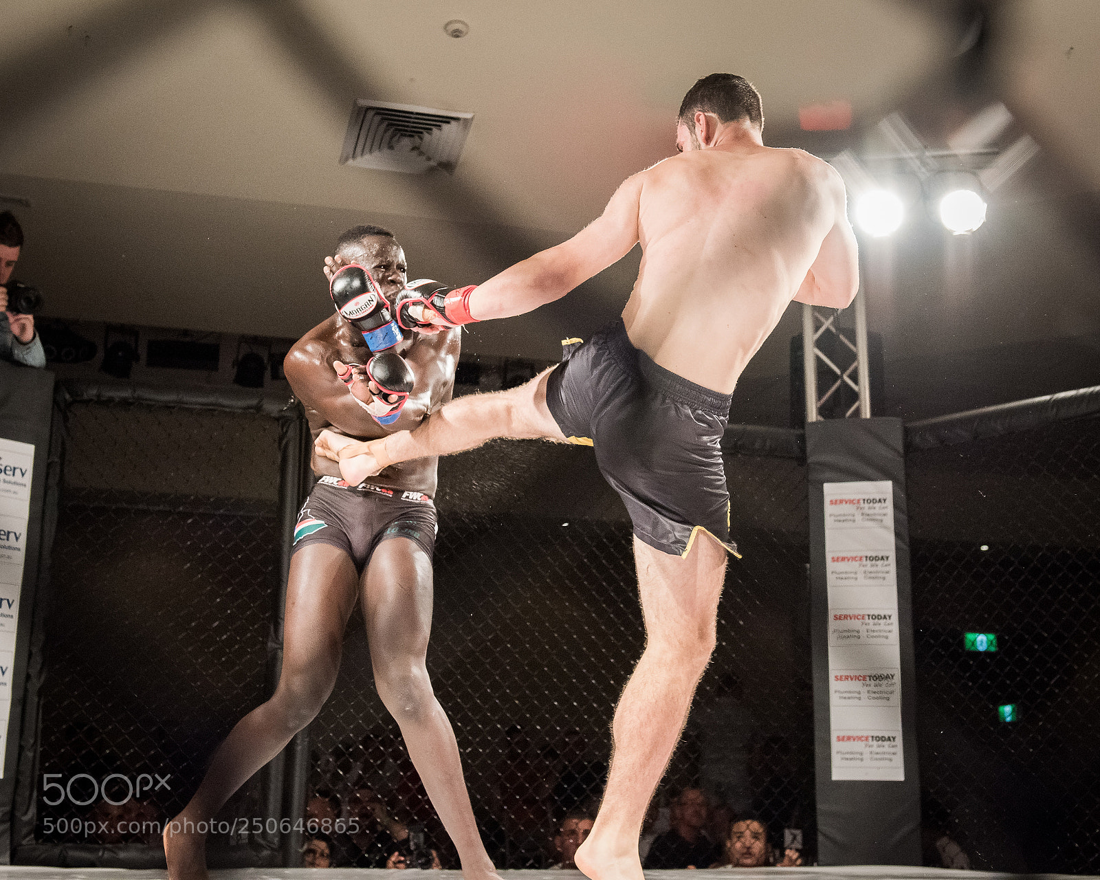 Nikon D810 sample photo. Mma fighter landing a photography