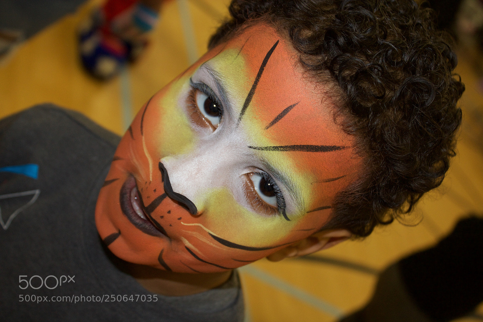 Canon EOS 600D (Rebel EOS T3i / EOS Kiss X5) sample photo. Tiger face paint photography