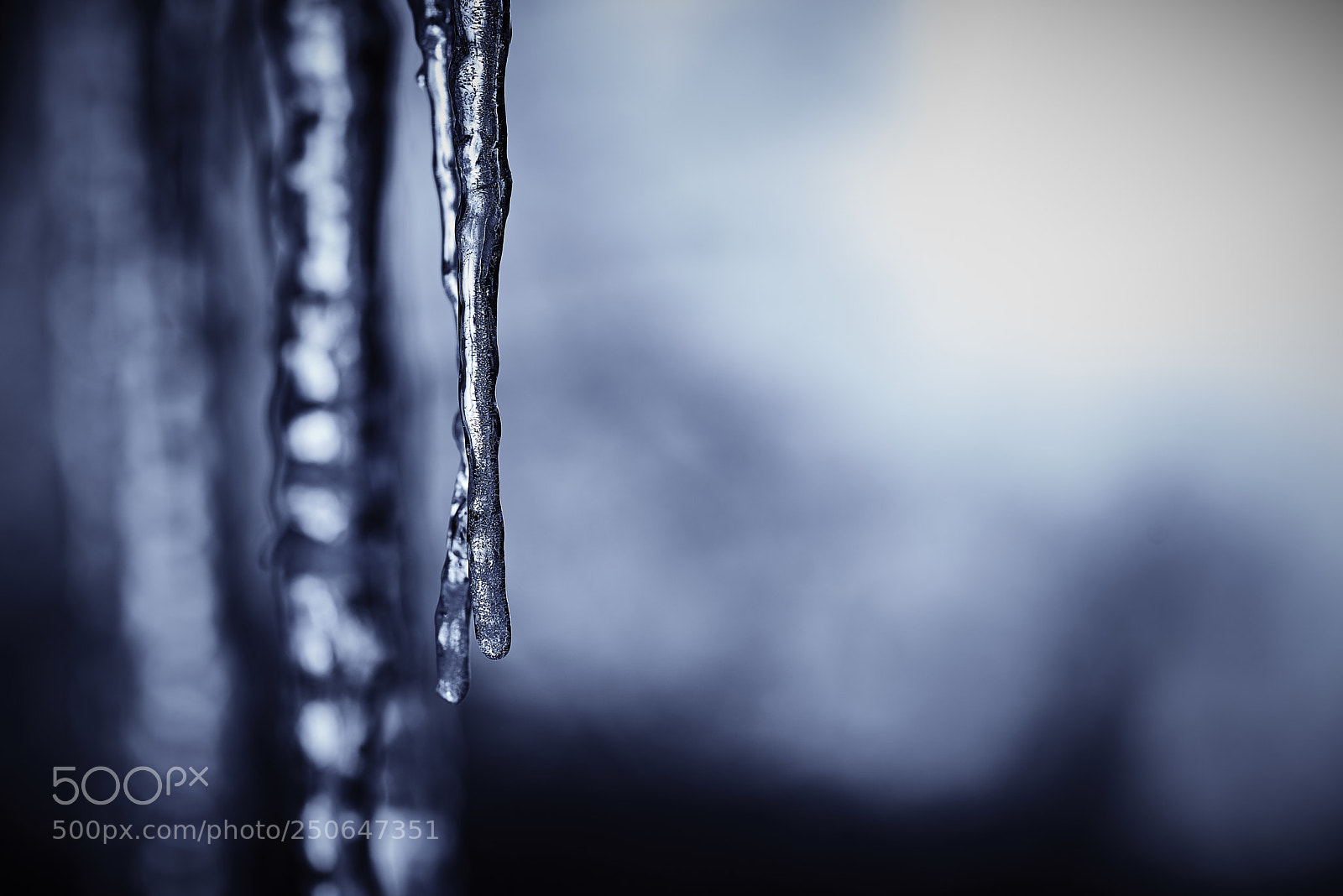 Nikon D800E sample photo. Coldness photography