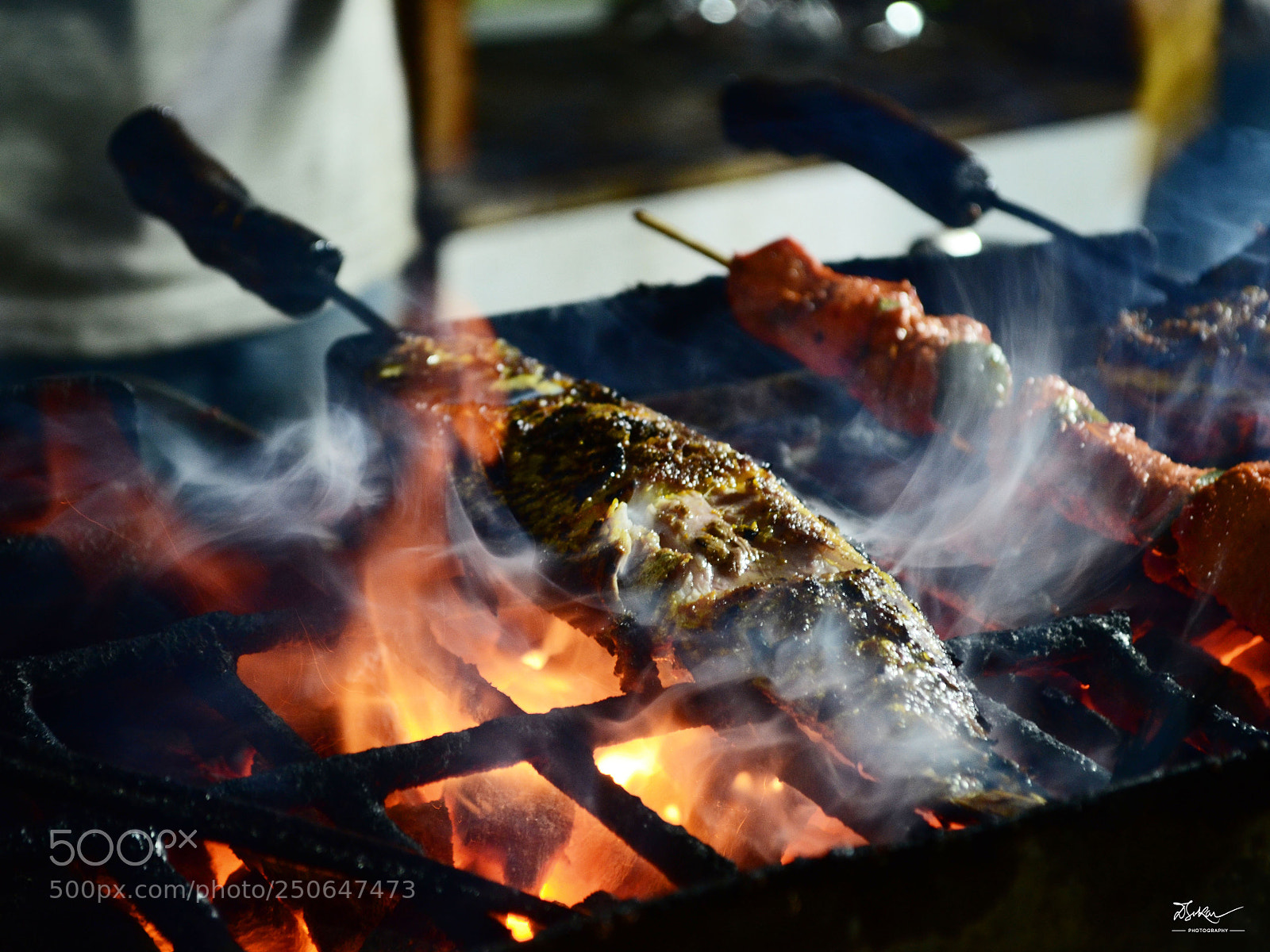 Nikon D7000 sample photo. Fish kebab photography