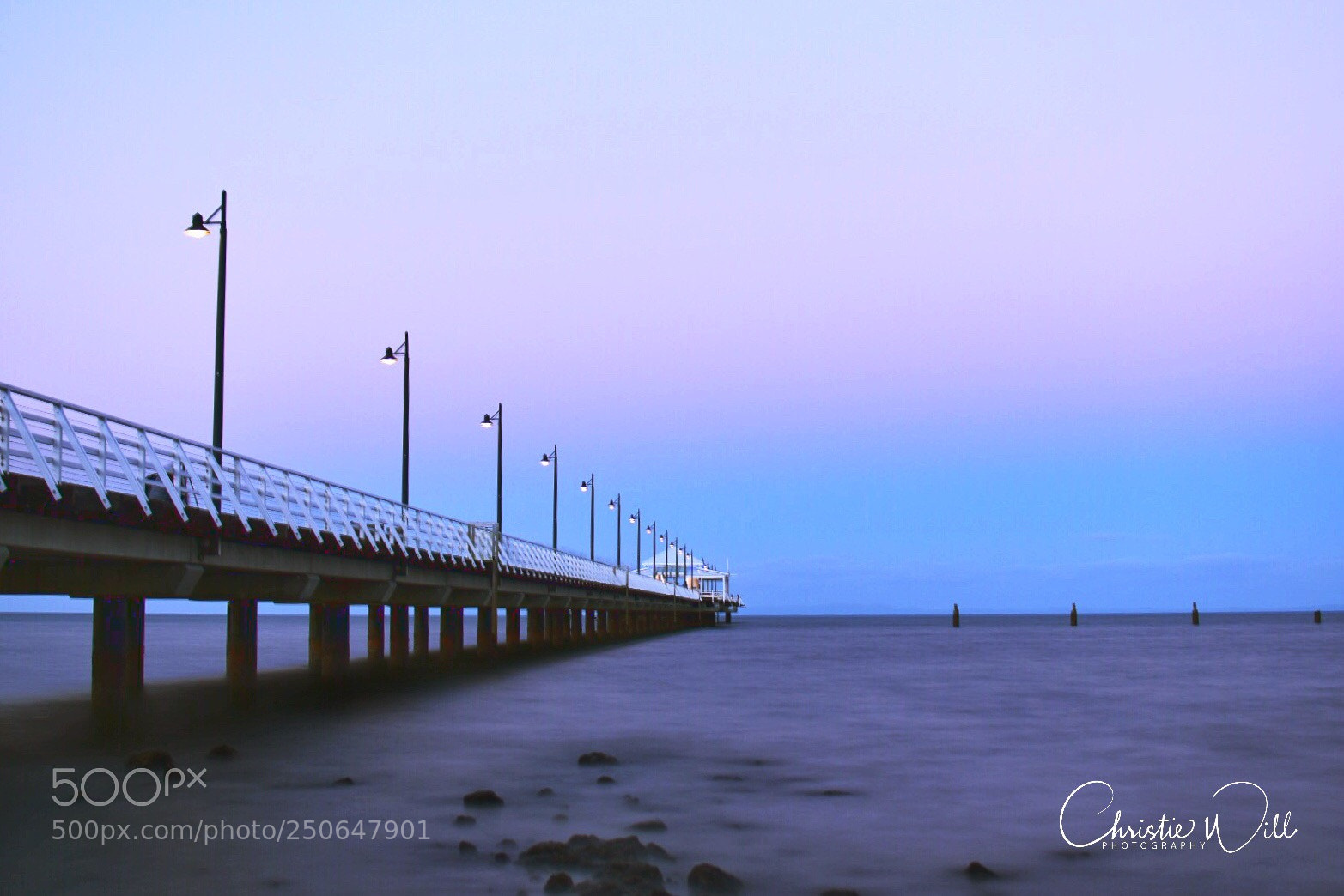 Nikon D5500 sample photo. Blue hour photography