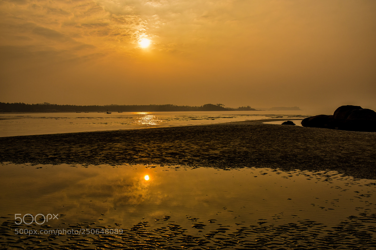 Nikon D5300 sample photo. Orange reflections photography