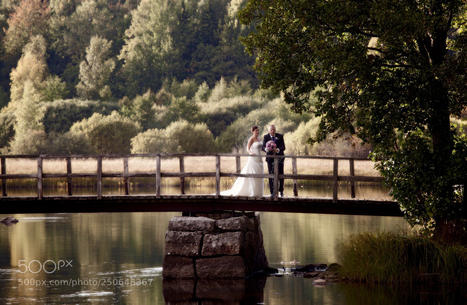 Canon EOS 5D Mark II sample photo. Bridge pose photography