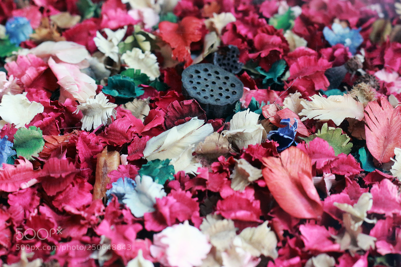 Canon EOS 700D (EOS Rebel T5i / EOS Kiss X7i) sample photo. Dried flowers decorated in photography