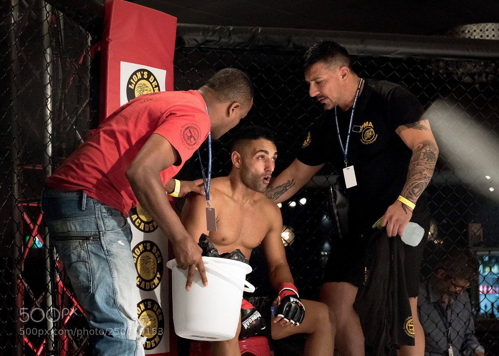 Nikon D810 sample photo. Coaches work with fighter photography