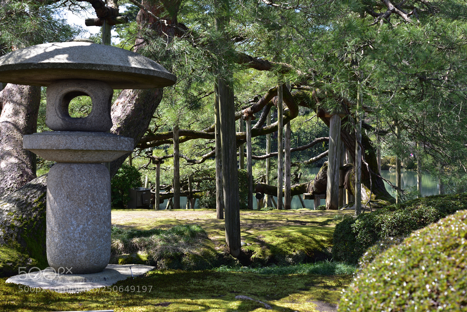 Nikon AF-S Micro-Nikkor 60mm F2.8G ED sample photo. 灯籠と唐崎松 兼六園 金沢 photography