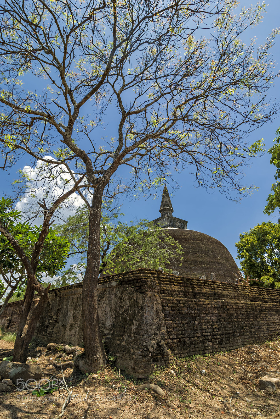 Nikon D80 sample photo. Rankoth vehera. polonnaruwa, sri photography