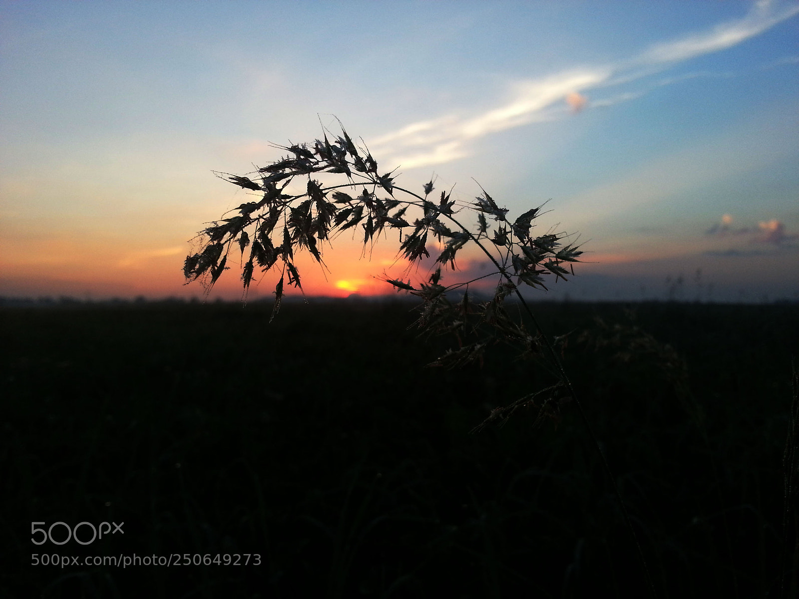 Samsung Galaxy Note2 sample photo. Morning photography