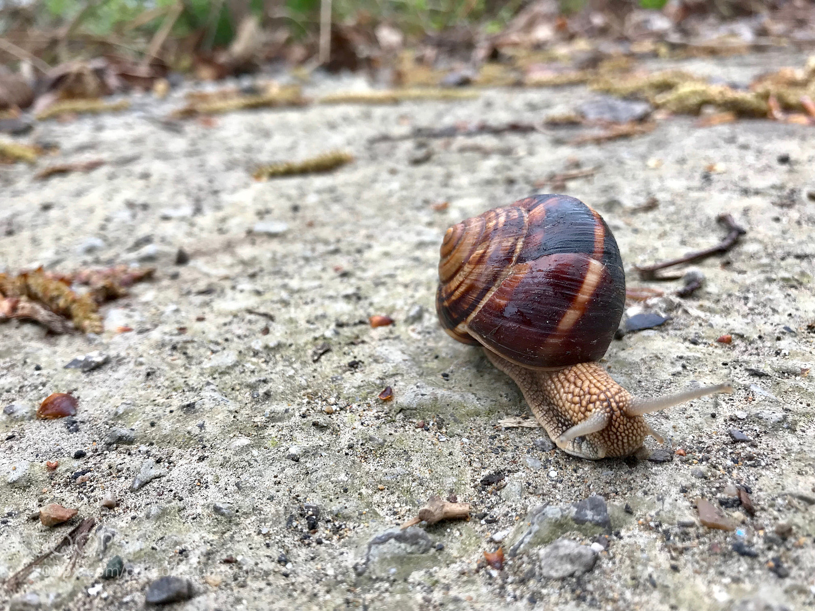 Apple iPhone 7 sample photo. Untitled photography