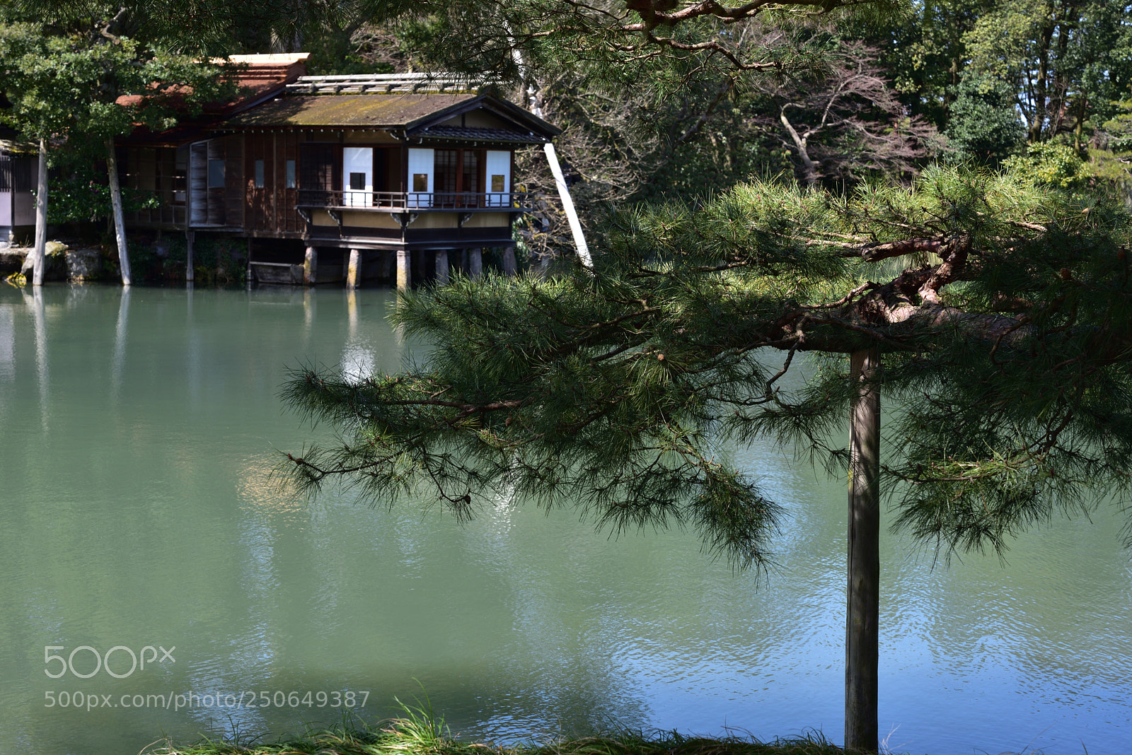 Nikon AF-S Micro-Nikkor 60mm F2.8G ED sample photo. 内橋亭 兼六園 金沢 photography