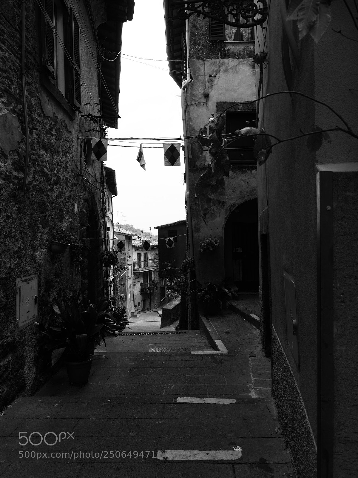 Olympus OM-D E-M1 Mark II sample photo. Soriano nel cimino 17pa010068 photography