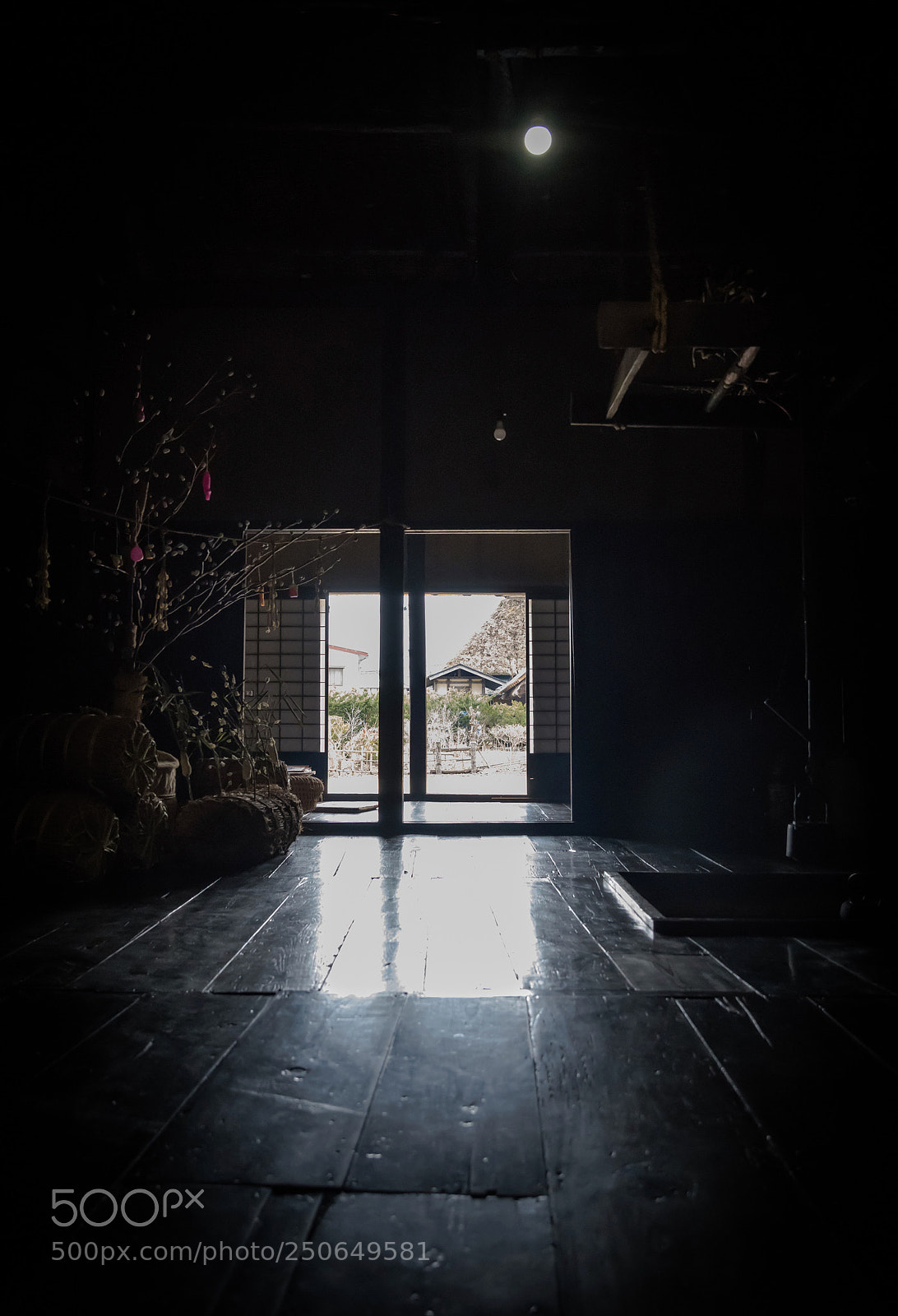 Nikon D850 sample photo. The traditional japanese style photography