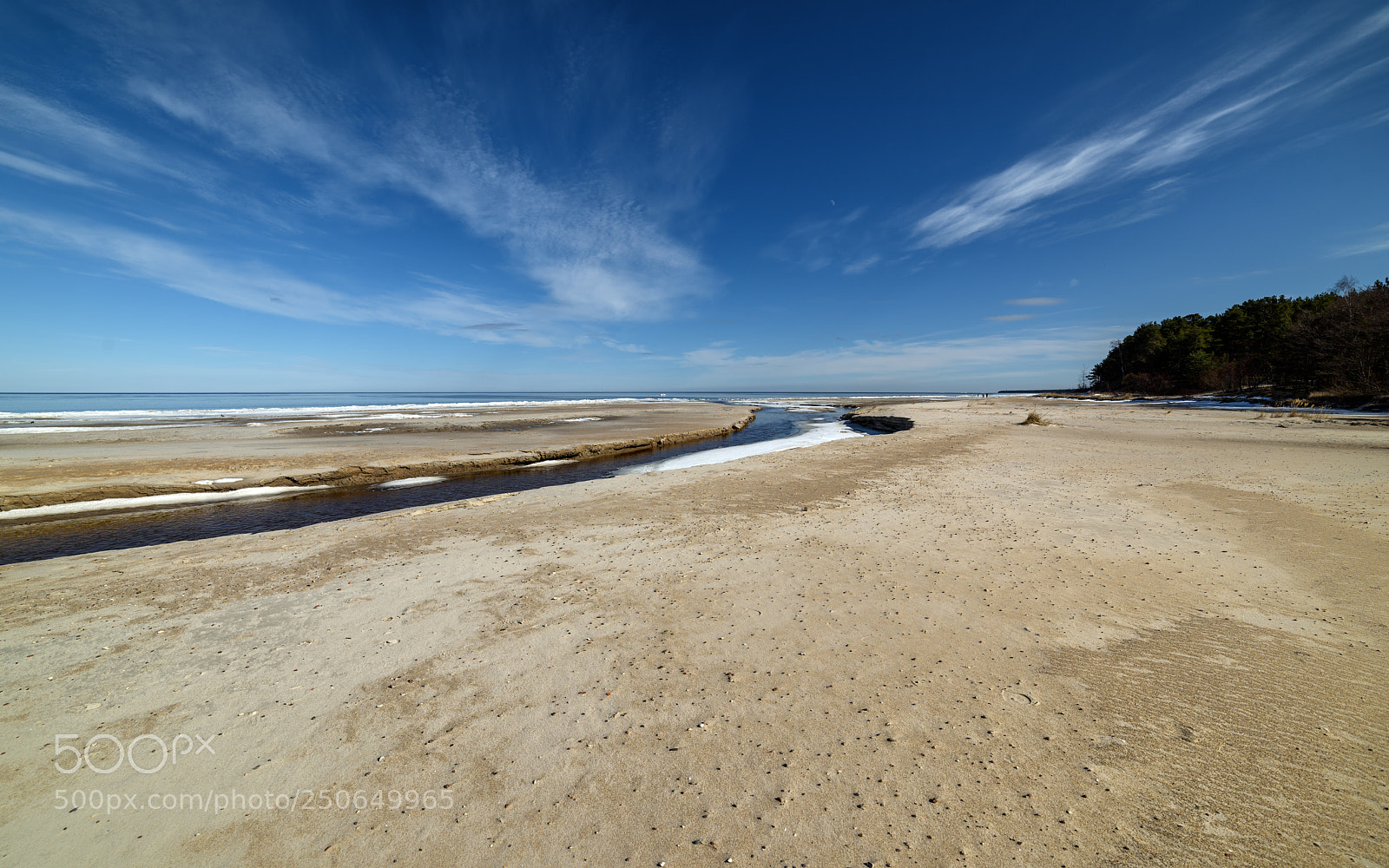 Nikon D810 sample photo. Early spring on the photography